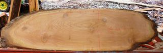 Cedar Slab