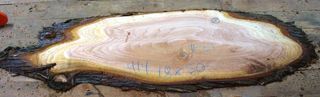 cedar slab