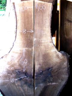 English Walnut Slab