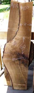 English Walnut Slab