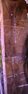 English Walnut Slab
