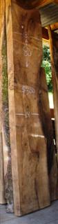 English Walnut Slab