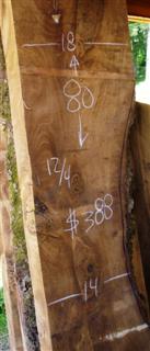 English Walnut Slab