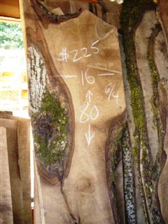English Walnut Slab