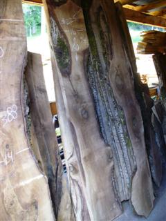 English Walnut Slab