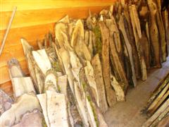 Black Walnut 1-Inch