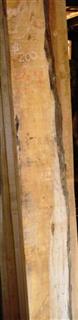 2.5 Inch Maple Mantles $200
