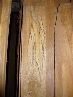 Spaulted Alder Lumber
