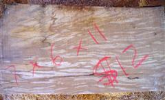 Spalted Alder Turning Block