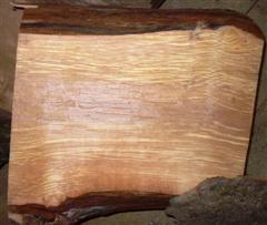 Spalted Alder Turning Block