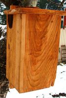 squirrel box